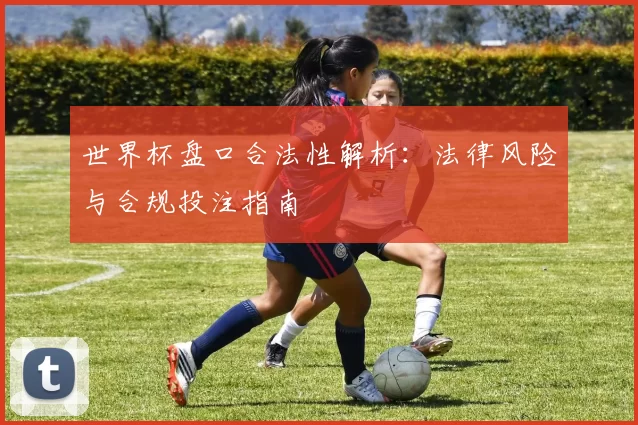 世界杯盘口合法性解析：法律风险与合规投注指南