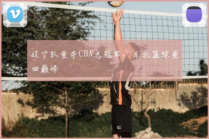 辽宁队重夺CBA总冠军，东北篮球重回巅峰