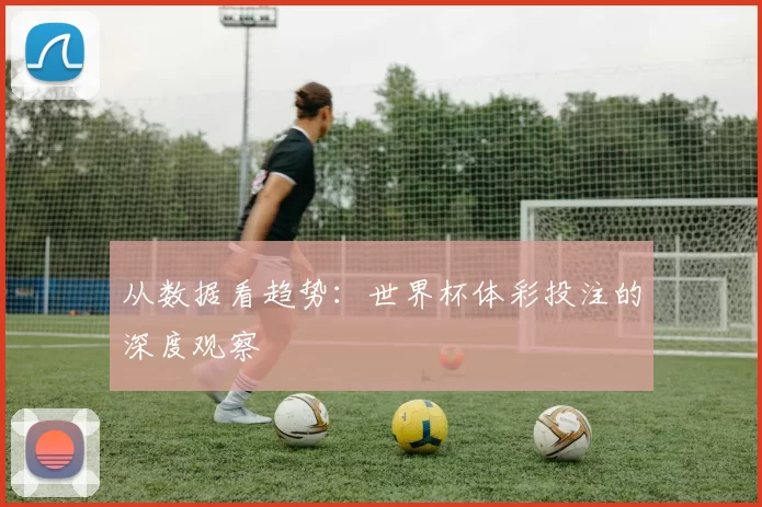 从数据看趋势：世界杯体彩投注的深度观察