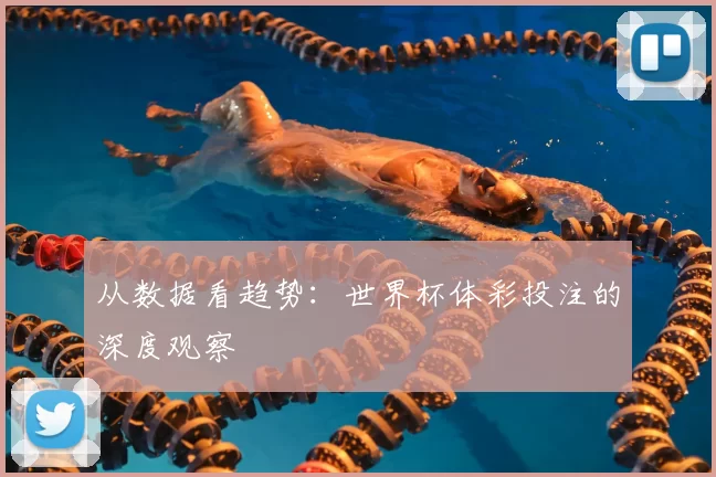 从数据看趋势：世界杯体彩投注的深度观察