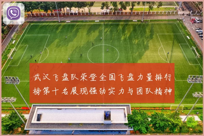 武汉飞盘队荣登全国飞盘力量排行榜第十名展现强劲实力与团队精神