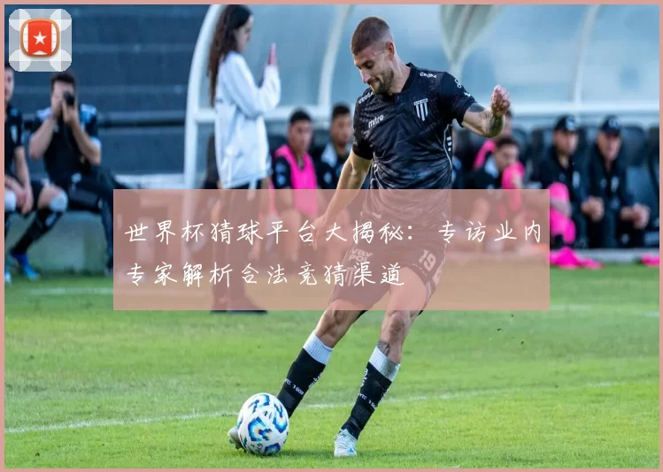 世界杯猜球平台大揭秘:专访业内专家解析合法竞猜渠道
