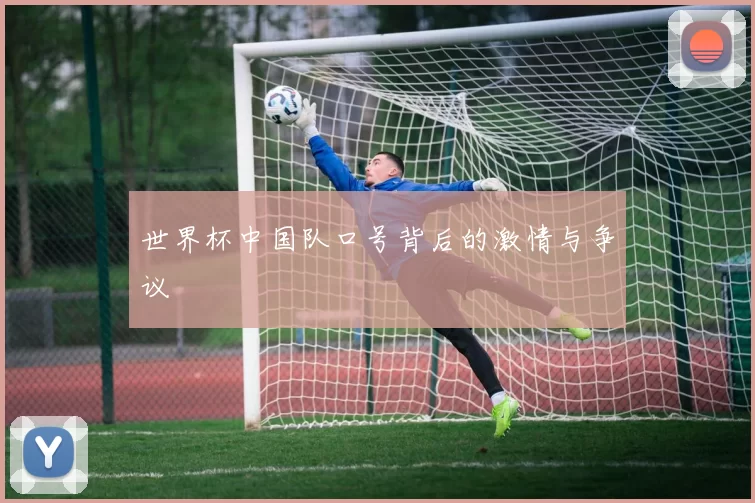 世界杯中国队口号背后的激情与争议