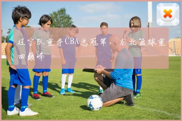 辽宁队重夺CBA总冠军,东北篮球重回巅峰
