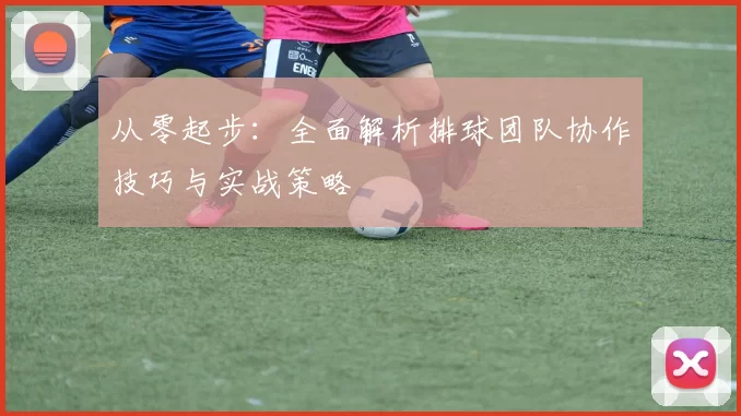从零起步：全面解析排球团队协作技巧与实战策略