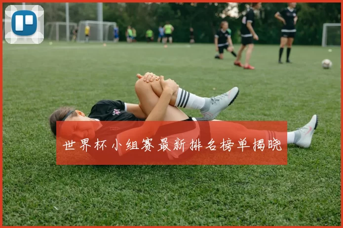 世界杯小组赛最新排名榜单揭晓
