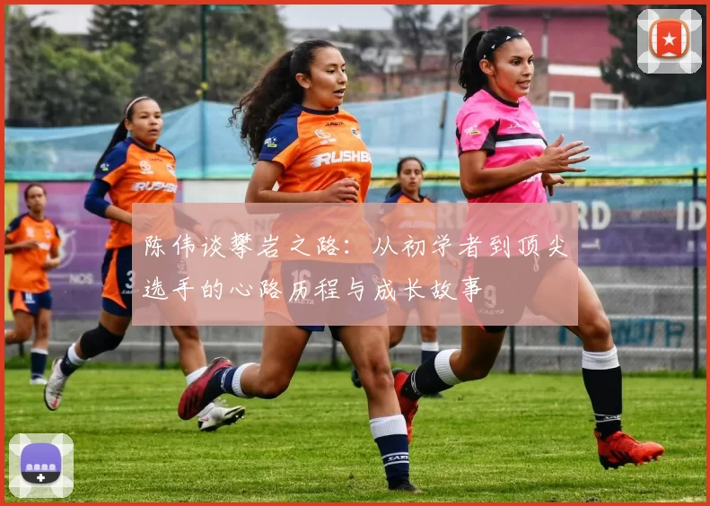 陈伟谈攀岩之路:从初学者到顶尖选手的心路历程与成长故事