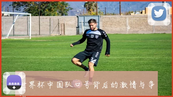 世界杯中国队口号背后的激情与争议